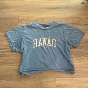 Brandy Melville Crop Top